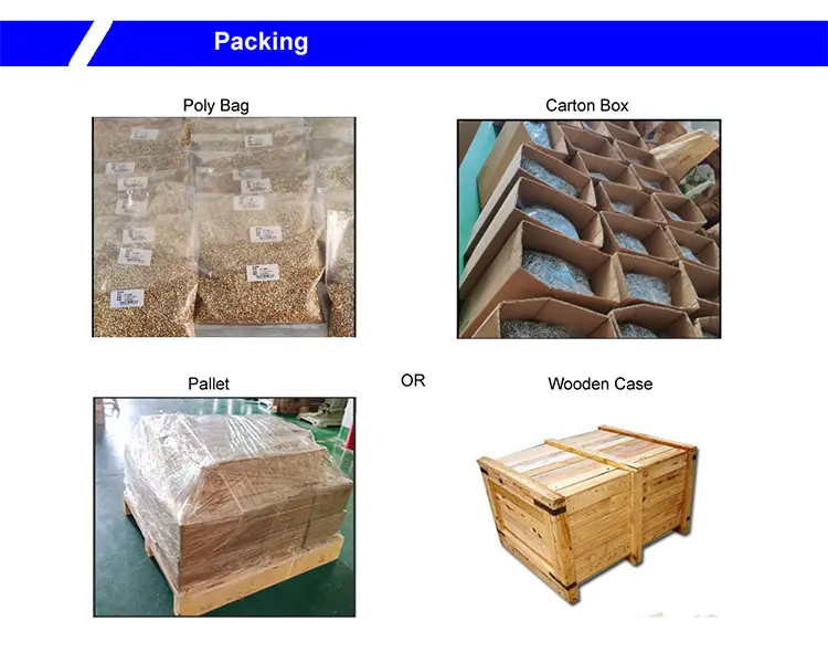 Round Head Semi Tubular Rivet